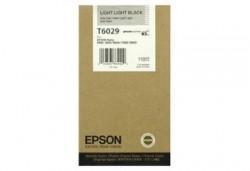 Epson C13T602900 (T6029) Original, doppelter, heller Schwarzton.