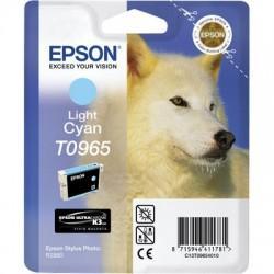 Epson C13T09654020 (T0965) Outdoor Blue Açık Card