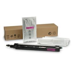 HP Z7Y72A Magenta Original Developer Unit - E87640dn / E87650dn