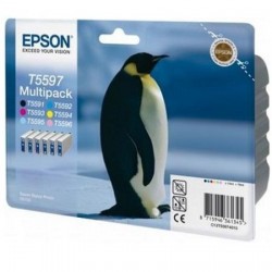 Epson C13T55974010 (T5597) 6lı Paket Multipack Orj