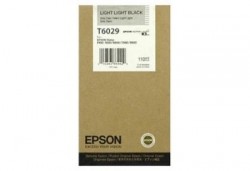 Epson C13T602900 (T6029) Schwarz Açık