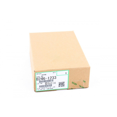 Ricoh B246-1233 Front-Ozonfilter - 1060