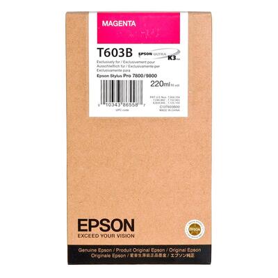Epson C13T603B00 (T603B)