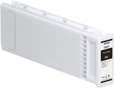 Epson C13T890B00 (T890B) Metallic Silver Kar Snow