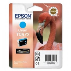 Epson C13T08724020 (T0872) Mavi Orjinal Kartuş - P