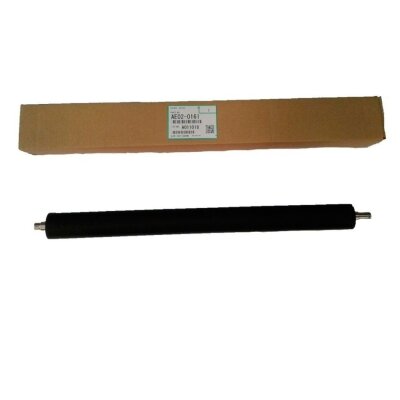 Ricoh AE020161 Druckwalze - 1022ZCARTKEEP0002ZXQ