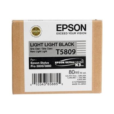 Epson C13T580900 (T5809) Duble Açık Siyah Orjinal
