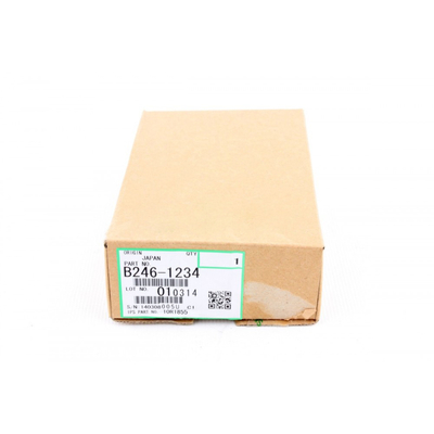 Ricoh B246-1234 Arka Ozon Filtre - MP6000