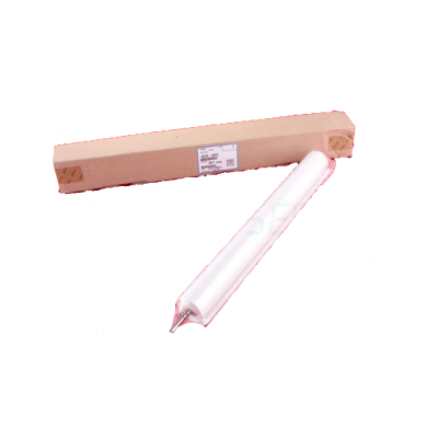 Ricoh AE04-5099 Fuser Temizlik Web