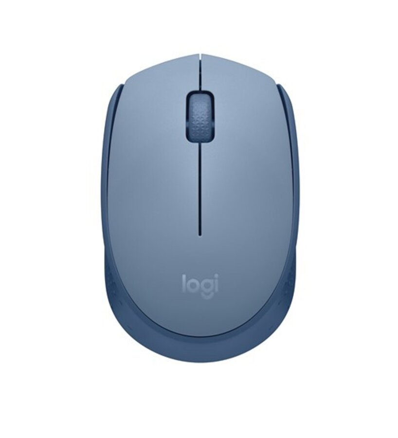 Logitech M171 (910-006866) Blue-Gray Optical Wireless Mouse