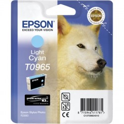 Epson C13T09654020 (T0965) Outdoor Blue Açık Card