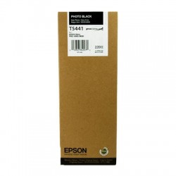 Epson C13T544100 (T5441) Original Foto Schwarz Tintenpatrone.