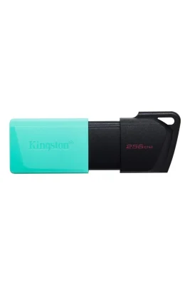 KingstonART Exodia M DTXM/256ZCARTKEEP0001256Q