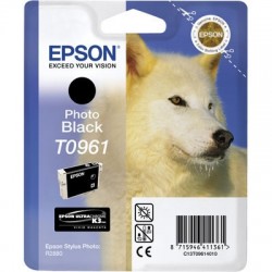Epson C13T09614020 (T0961) Photo Black Original Ink - Photo R2880 (Ex)