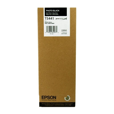 Epson C13T544100 (T5441) Original Foto Schwarz Tintenpatrone.